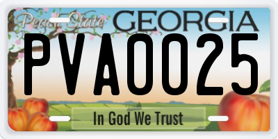 GA license plate PVA0025