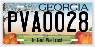 GA license plate PVA0028