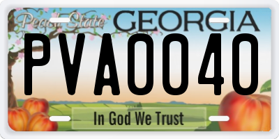 GA license plate PVA0040