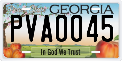 GA license plate PVA0045