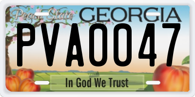 GA license plate PVA0047