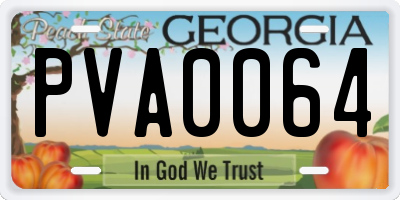GA license plate PVA0064