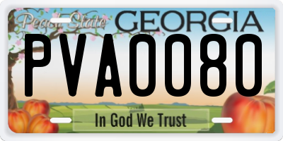 GA license plate PVA0080