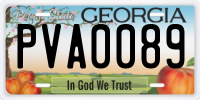 GA license plate PVA0089