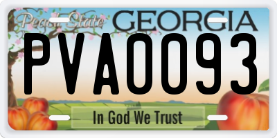 GA license plate PVA0093