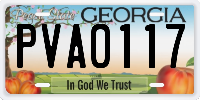 GA license plate PVA0117