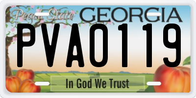 GA license plate PVA0119