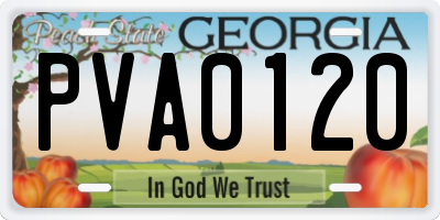 GA license plate PVA0120