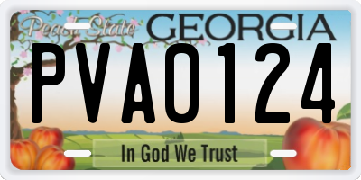 GA license plate PVA0124