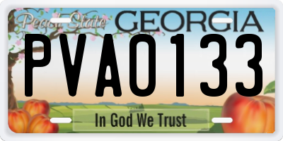 GA license plate PVA0133