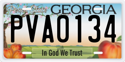 GA license plate PVA0134