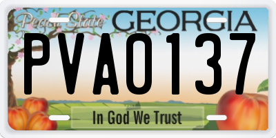 GA license plate PVA0137