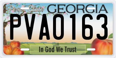 GA license plate PVA0163