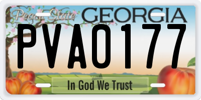 GA license plate PVA0177