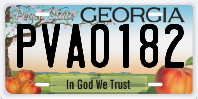 GA license plate PVA0182