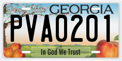 GA license plate PVA0201