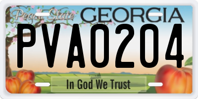 GA license plate PVA0204