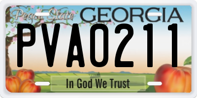 GA license plate PVA0211
