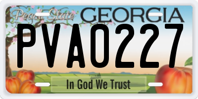 GA license plate PVA0227