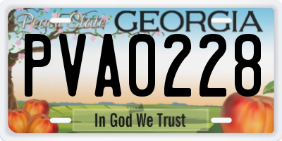 GA license plate PVA0228