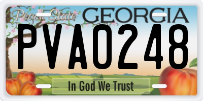 GA license plate PVA0248