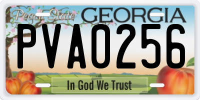 GA license plate PVA0256