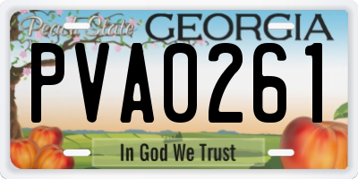 GA license plate PVA0261