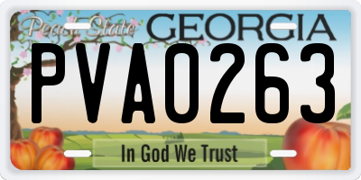 GA license plate PVA0263