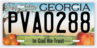 GA license plate PVA0288