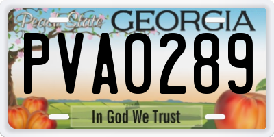 GA license plate PVA0289