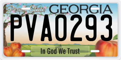 GA license plate PVA0293