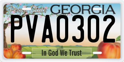 GA license plate PVA0302