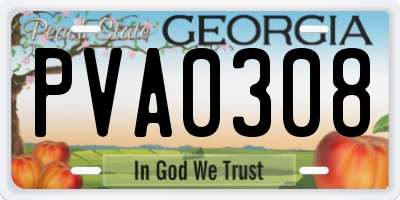 GA license plate PVA0308