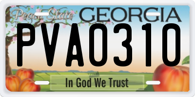 GA license plate PVA0310