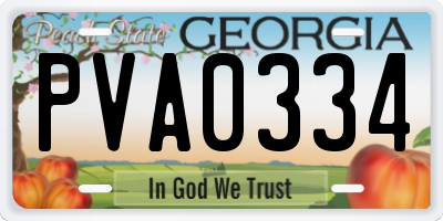GA license plate PVA0334