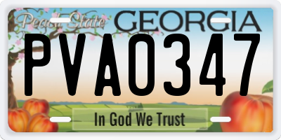 GA license plate PVA0347