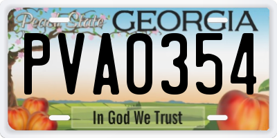 GA license plate PVA0354