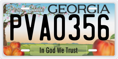 GA license plate PVA0356
