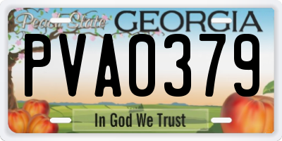 GA license plate PVA0379