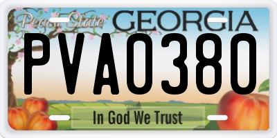 GA license plate PVA0380
