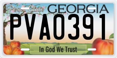 GA license plate PVA0391