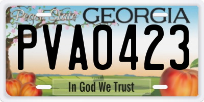 GA license plate PVA0423