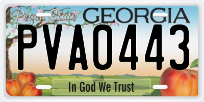 GA license plate PVA0443