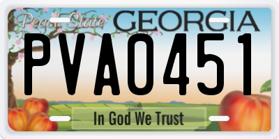 GA license plate PVA0451