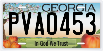 GA license plate PVA0453
