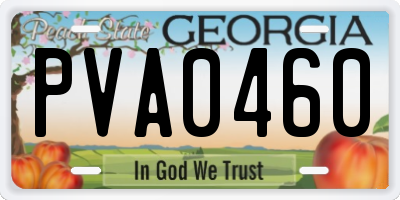 GA license plate PVA0460