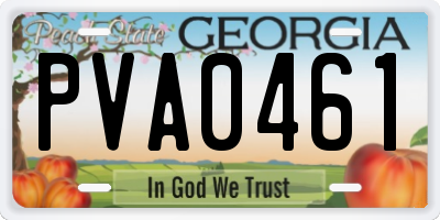 GA license plate PVA0461