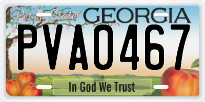 GA license plate PVA0467