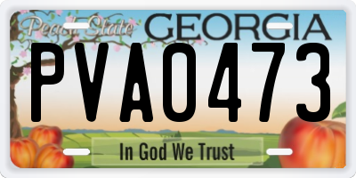 GA license plate PVA0473
