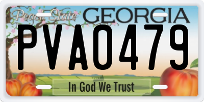 GA license plate PVA0479